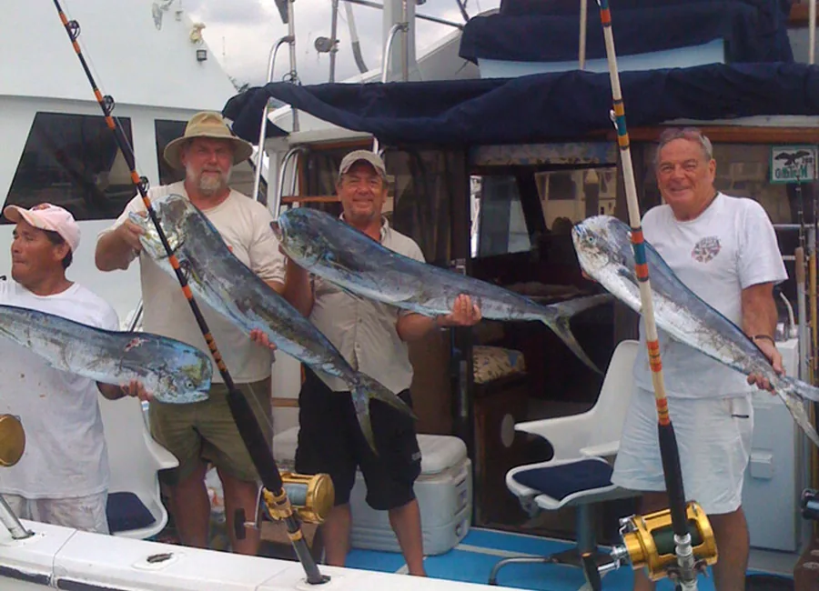 Mahi mahi fishing charter