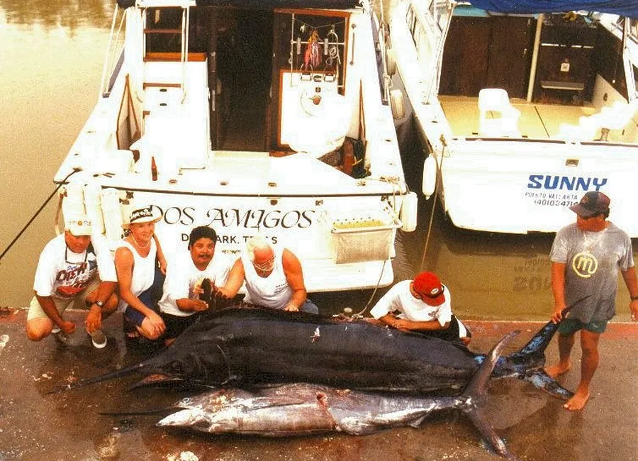 32 ft Sportfisher Puerto Vallarta charter boat